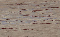 Ковролин Apoluza Wild 01 фото 1 | FLOORDEALER